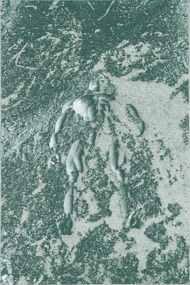image53j